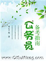 公务员备考指南小说