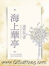 海上华亭小说