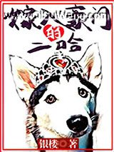 嫁入豪门的二哈小说