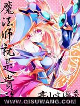 魔法师就是贵族小说