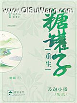糖罐子[重生]小说