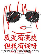 我没有演技但我有钱呀小说