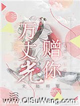 万丈光赠你小说