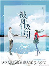 被风吸引小说
