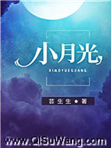 小月光小说