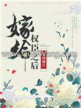 嫁给权臣之后小说