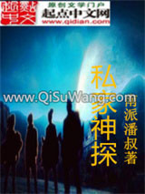 私家神探小说