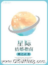 星际结婚指南小说