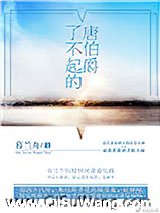 了不起的唐伯爵小说