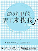 游戏里的妻子来找我了小说