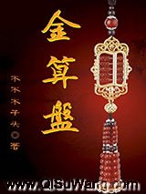 金算盘小说