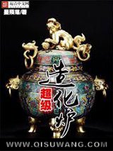 超级造化炉小说