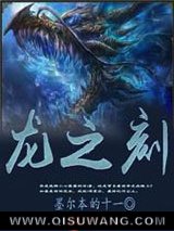 龙之刻小说