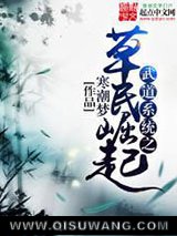 武道系统之草民崛起小说