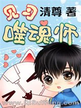 见习噬魂师小说