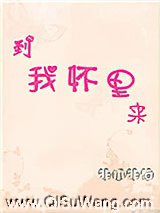 到我怀里来小说