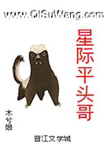 星际平头哥小说