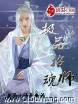 极品招魂师小说