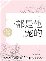 都是他宠的小说