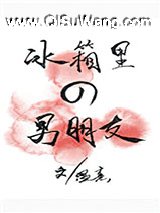冰箱里的男朋友小说