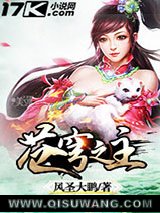 苍穹之主小说