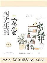 封先生的宠爱小说