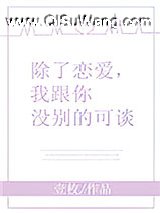 除了恋爱,我跟你没别的可谈小说