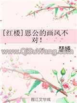 [红楼]恩公的画风不对！小说