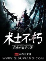 术士不朽小说