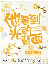 他看到光的背面小说