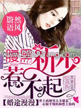 婚途漫漫，腹黑祈少惹不起小说