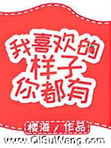 我喜欢的样子你都有小说