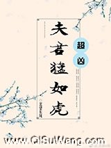 夫君猛如虎小说