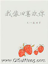 我依旧喜欢你小说