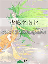 火影之南北小说