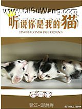 听说你是我的猫小说