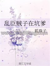 乱臣贼子在坑爹小说