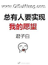 总有人要实现我的愿望小说
