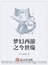 梦幻西游之今世缘小说