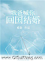 我爸喊你回国结婚小说