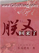 朕又回来啦小说