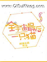 全宇宙最后一只猫小说