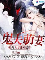 鬼夫萌妻之夫人请回家小说
