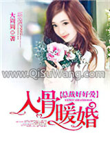 入骨暖婚小说