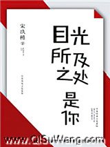 目光所及之处是你小说