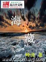 海藏小说