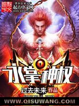 永掌神权小说