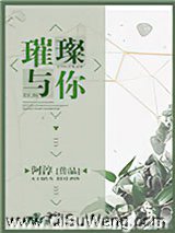璀璨与你小说