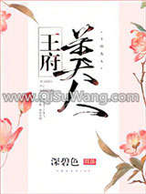 王府美人小说