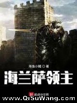 海兰萨领主小说